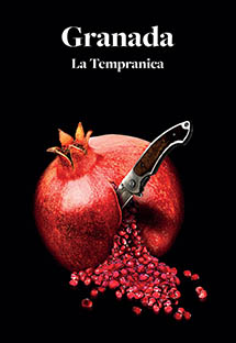 La tempranica (Teatro de la Zarzuela cover)